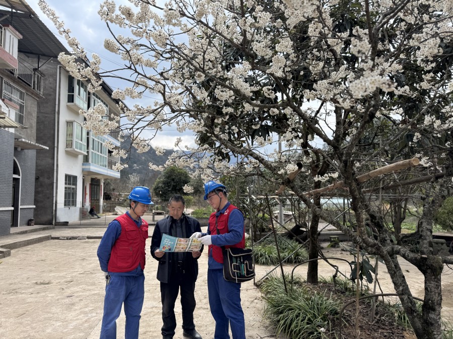 圖六為：入戶宣傳安全用電知識